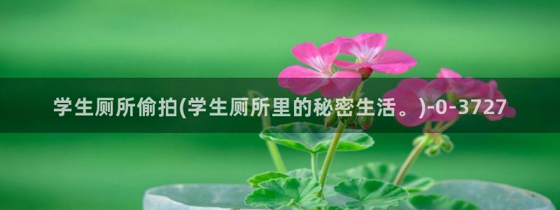 亚州偷拍视频：学生厕所偷拍(学生厕所里的秘密生活。)