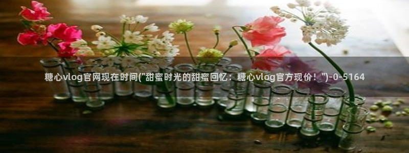 糖心vlog台北nana：糖心vlog官网现在时间(\