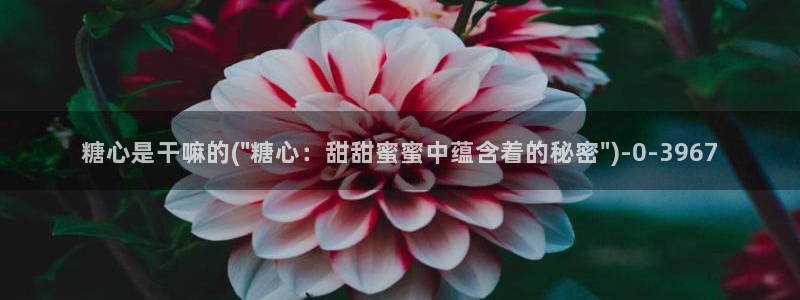 糖心vlog最新版下载：糖心是干嘛的(\