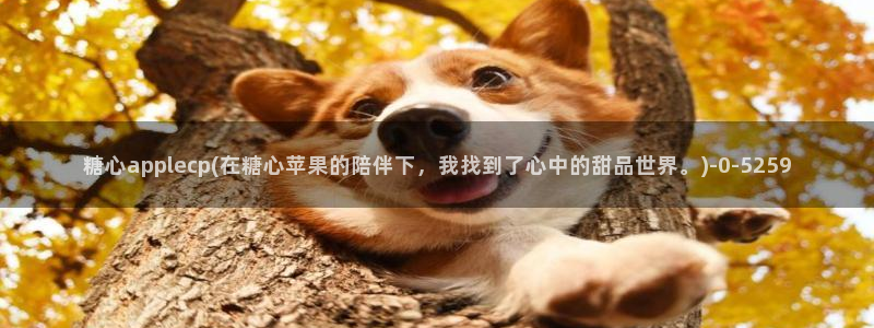 糖心vlog精品一区二区_糖心vlog官网_tx01：糖心applecp(在糖心苹果的陪伴下，我找到了心中的甜品世界。)