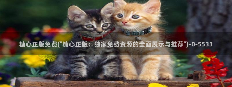 糖心vlog深夜里释放自己：糖心正版免费(\
